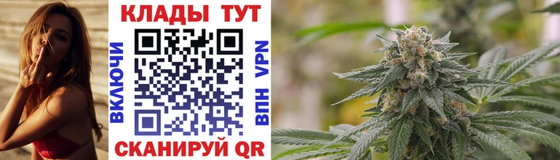 Купить закладку Alpha-PVP  Кодеин  Мефедрон  Псилоцибиновые грибы  ГАШИШ  Канабис  Белореченск