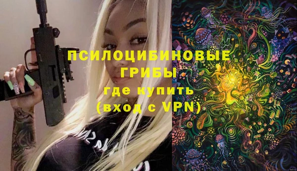 гидропоника Инта